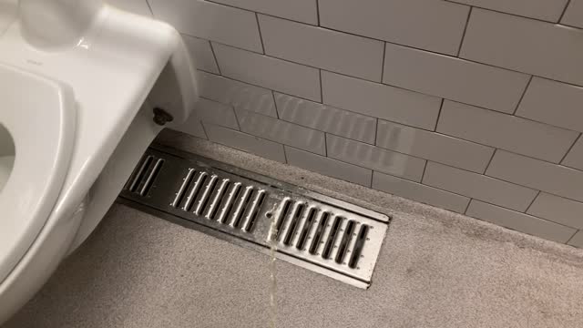 floor drain urination