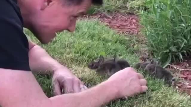 Guy found the little 🐰 rabbits 🐰