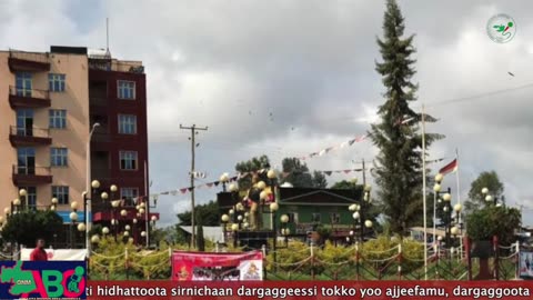 Oduu Waaree ONM-ABO Amajjii 9, 2024