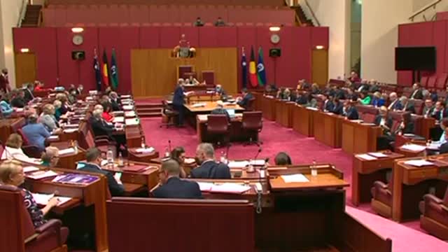 One nation Pauline Hanson is questioning stupid lesbian Penny Wong