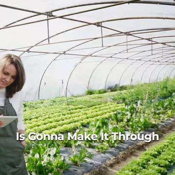 🏙️🌱 Urban Gardening Challenges! 🌿🏙️