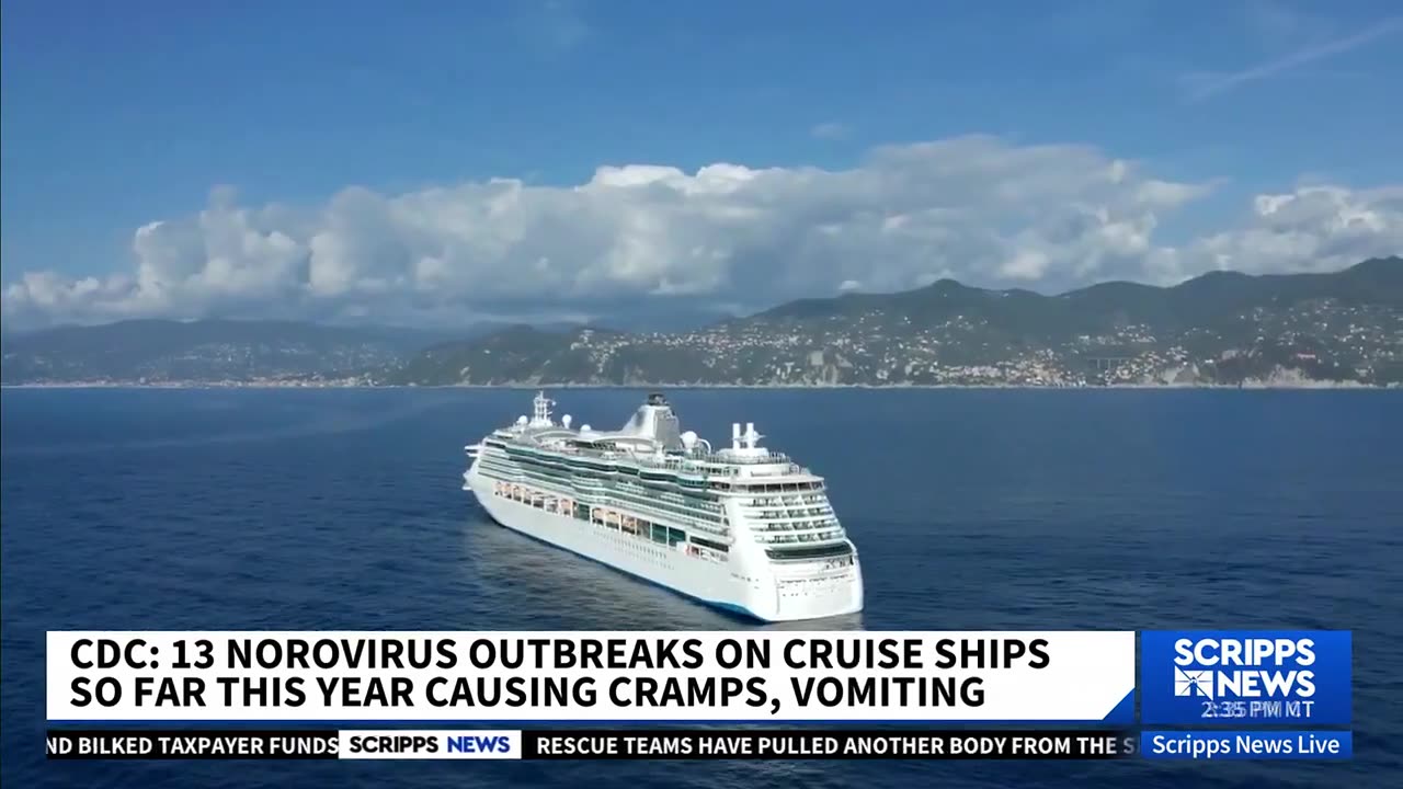 I'm an ex-USDA food expert - here's how to avoid stomach bugs when eating on vacation and cruises