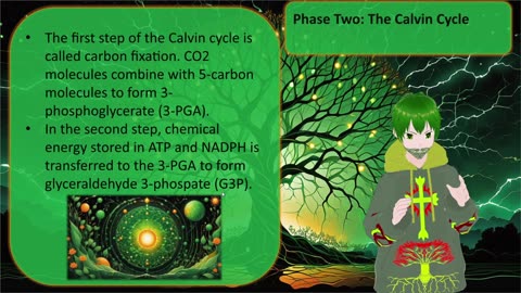 Pre-AP Bio Unit 2 Module 8 Day 2 Video 2