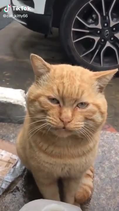 so sad! I was hungry and got soiled with milk