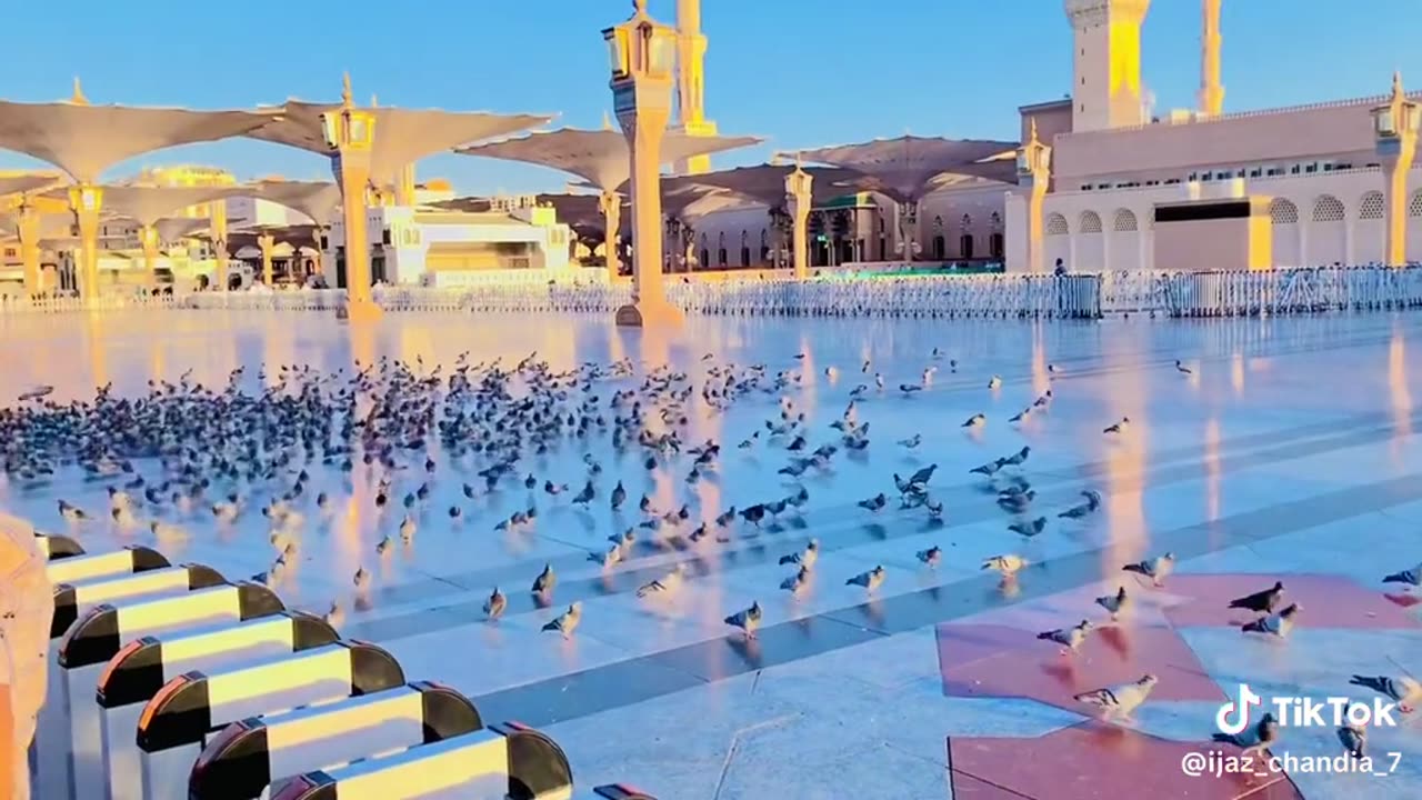 Hazrat Muhammad