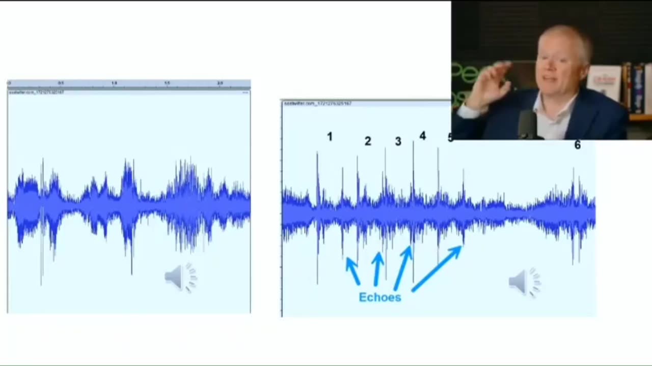 This guy analyses the audio of the trump assassination attempt in detail.