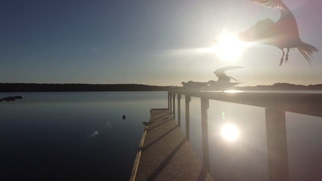 Sunrise Jetty