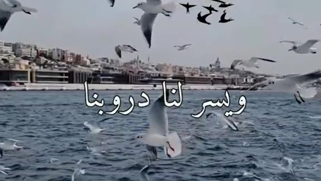 Pray for all 31-08-2023