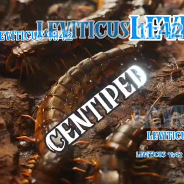 CENTIPEDES,#SNAKES, AND #SCORPIONS ARE UNCLEAN #FOODS ACCORDING TO THE #BIBLE