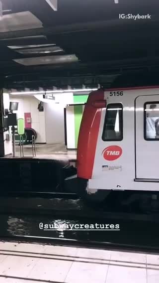 Dark subway underground water flood