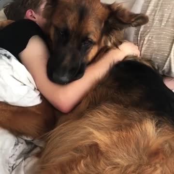 Sanday ane ghospard puppies love