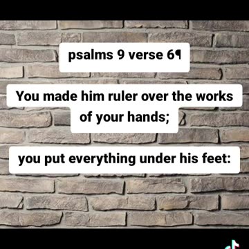 Psalms 8 verse 6