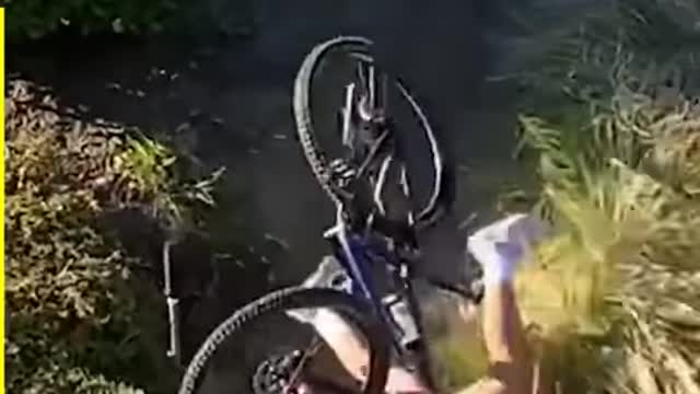 Just try not to laugh