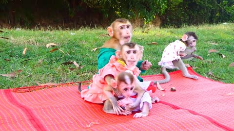 family making picnic