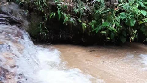 natural waterfall bathing atmosphere in the forest