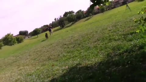 How to make a dog become fully aggressive very quick