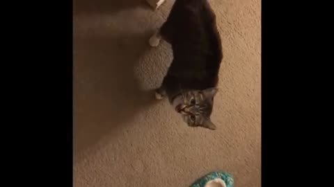 Ya hungry?