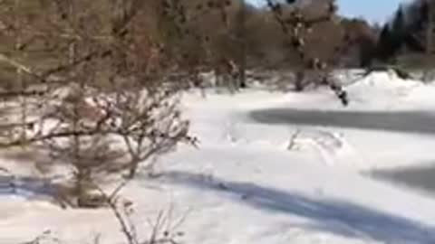 Walking on Frozen Ponds