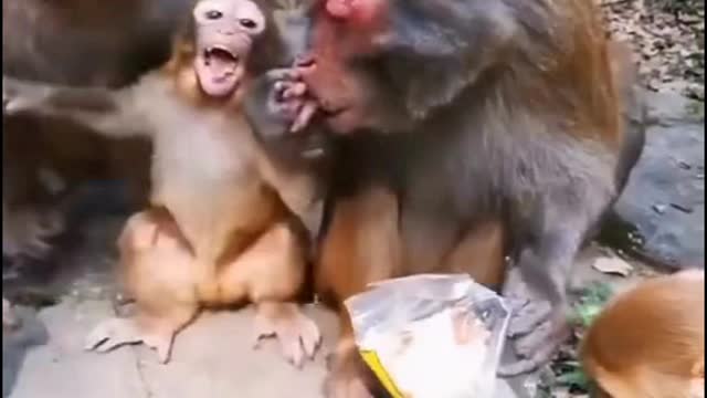 अरे इस कु हटा लें उंगली चाब लूंगा इसकी