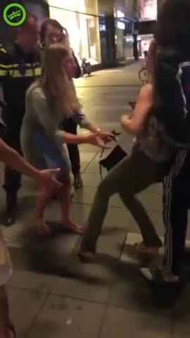 Police violence in the Netherlands