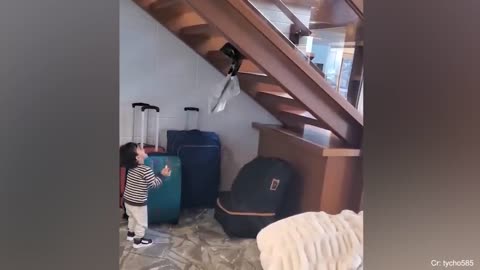 Why you should have a cat 😍