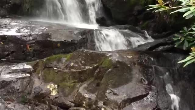 Waterfall in Tennessee