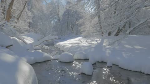 Snowy brook with trees around it