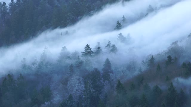 Landscape : Wave Of Fog