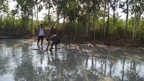 Indian farmer preparing paddy straw