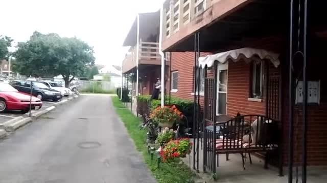 Don't mess with bees!!!