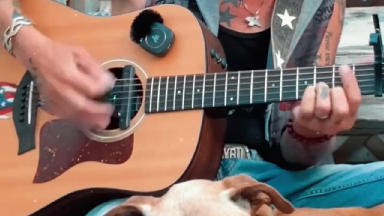 A short morning song by a man with a heart for animals and music