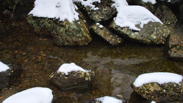 Rokc's in the river in the snowy forest