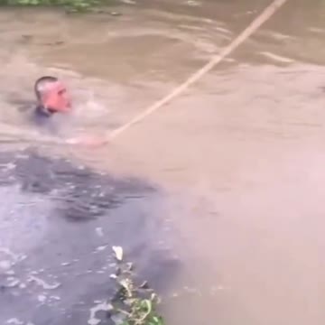 Di tarik ikan besar masuk ke dalam kolam