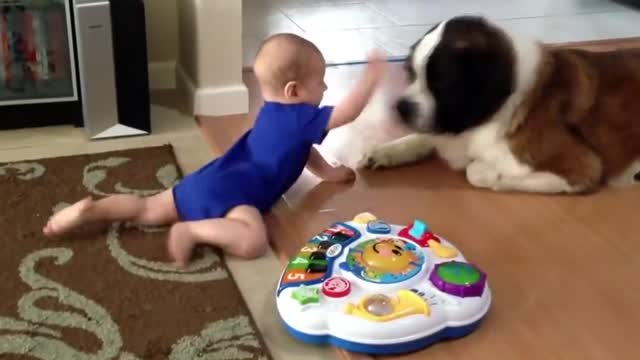 Baby Playing With Huge Dog