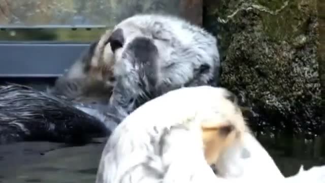 Itchy beard.