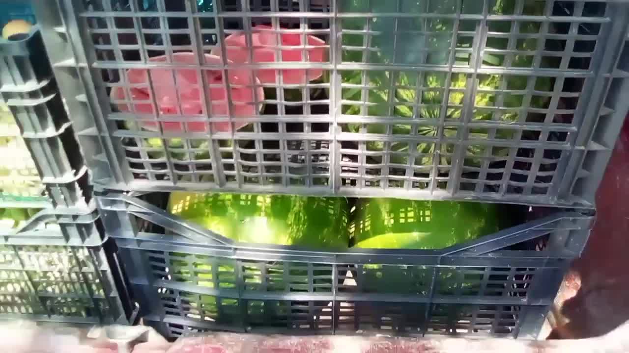 ΟΛΑ ΞΕΚΙΝΟΥΝ ΚΑΙ ΤΕΛΕΙΩΝΟΥΝ ΜΕ ΑΓΑΠΗ