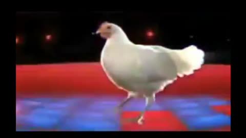 Chicken song