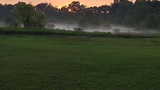 Homestead Tread Ep. 17 Meadow Fog