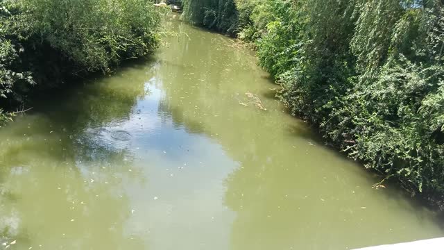 There must be fish in this water