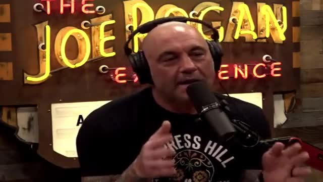 Joe Rogan humiliates CNN doctor over network's vaccine, Ivermectin lies