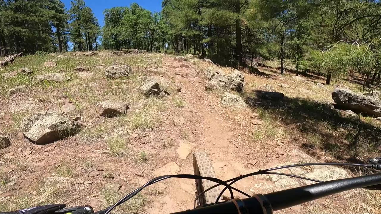 2nd time MTB - Ft Tuthill bike park