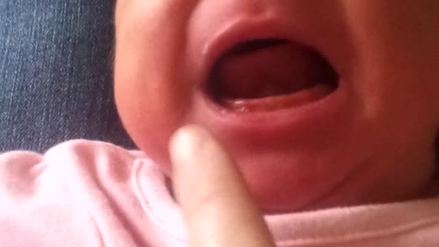 Someone is Hungry!