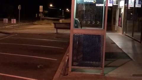 Guy jumps on top of orange telephone booth and falls through