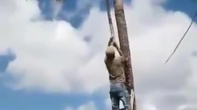 Stealing of Coconut gone wrong. FUNNY