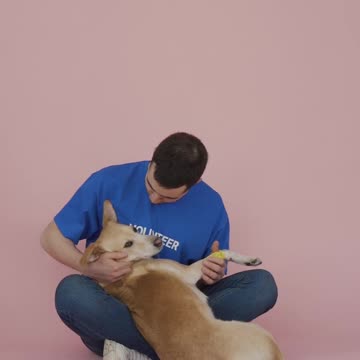 Dogs Are the Best | They make you laugh #15