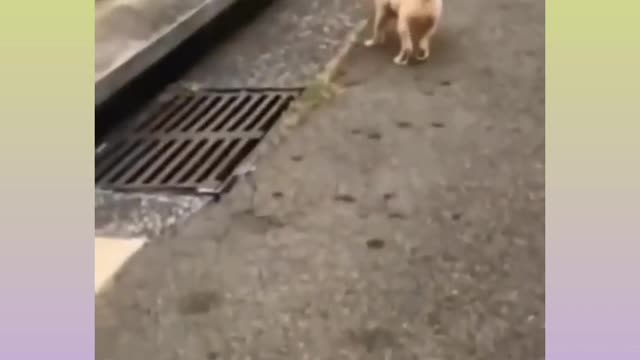 Funny moments