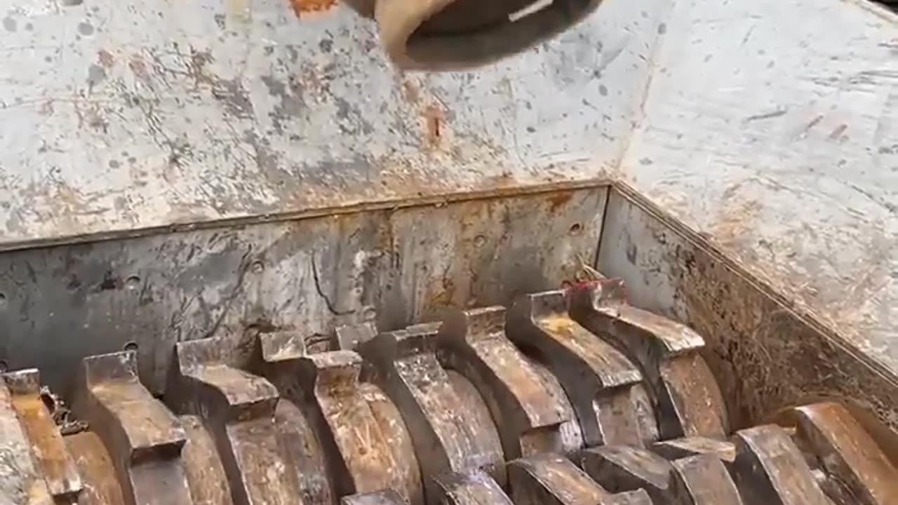 Shedder machine