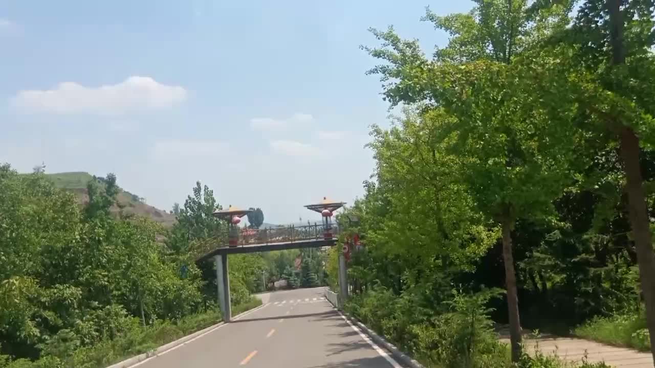 The trees on both sides of the road are so lush.
