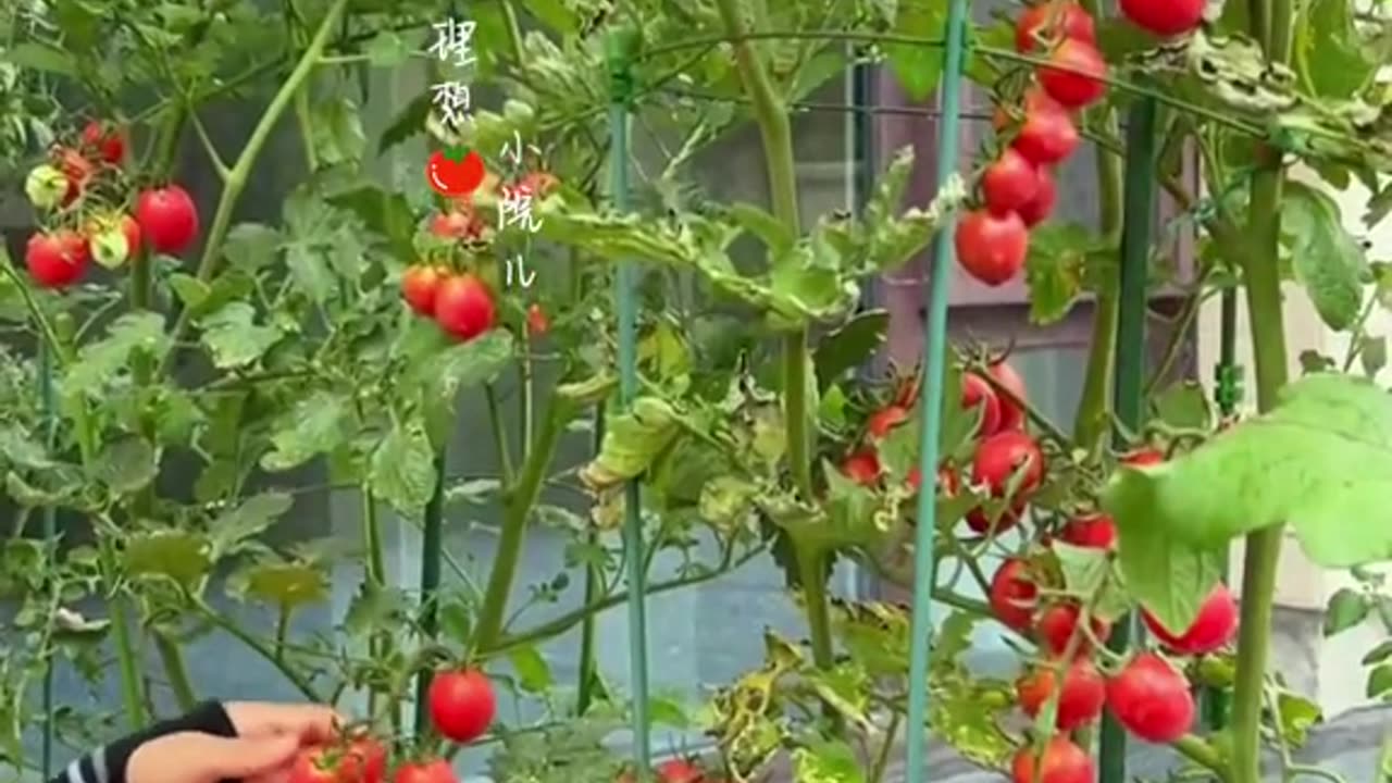 Very Very and I have a problem for a few 50k on 6666