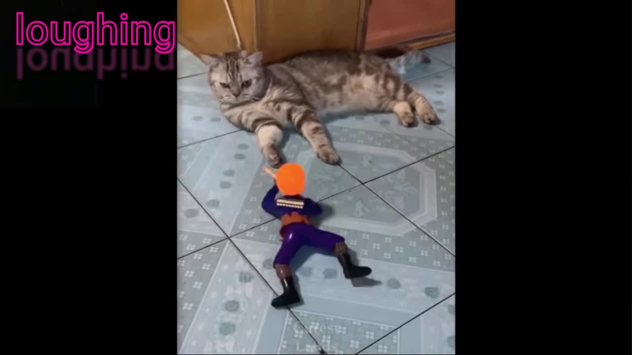 this video is too much funny